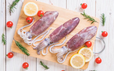 Usos y beneficios culinarios de los calamares y potas de Yacila