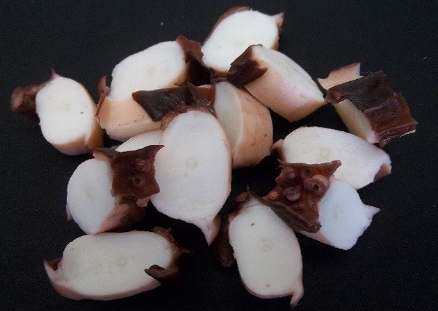 poton rodajas