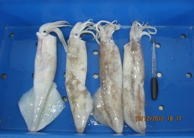 product04