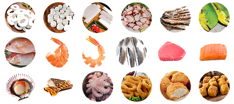 productos congelados