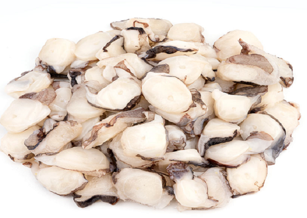 tentaculos